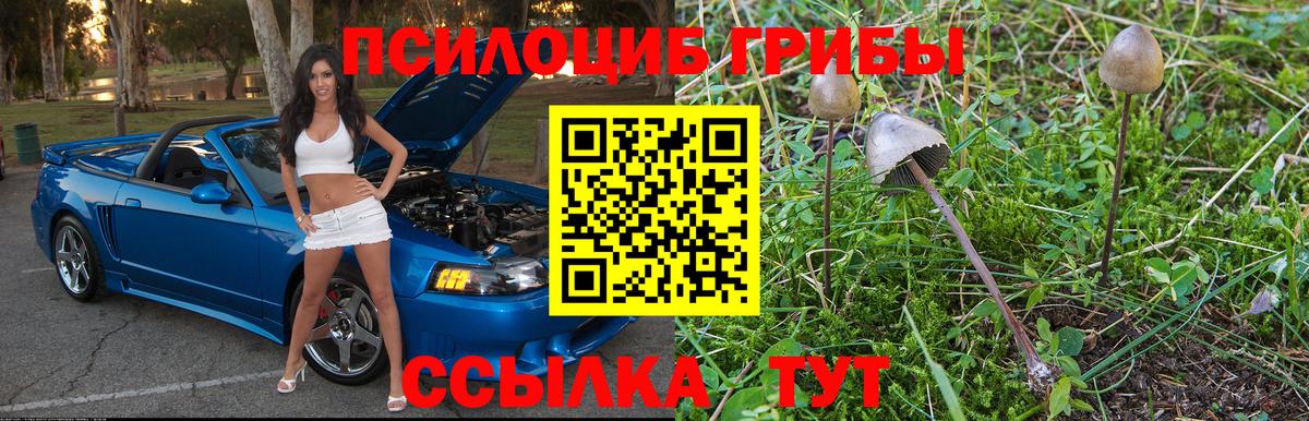 Галлюциногенные грибы GOLDEN TEACHER Елабуга