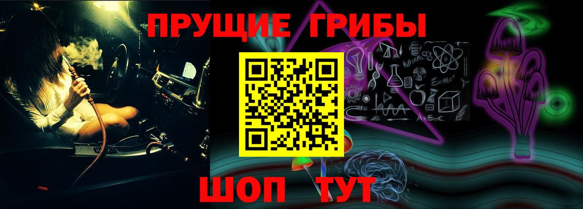 Елабуга  Галлюциногенные грибы прущие грибы  Вход с VPN 